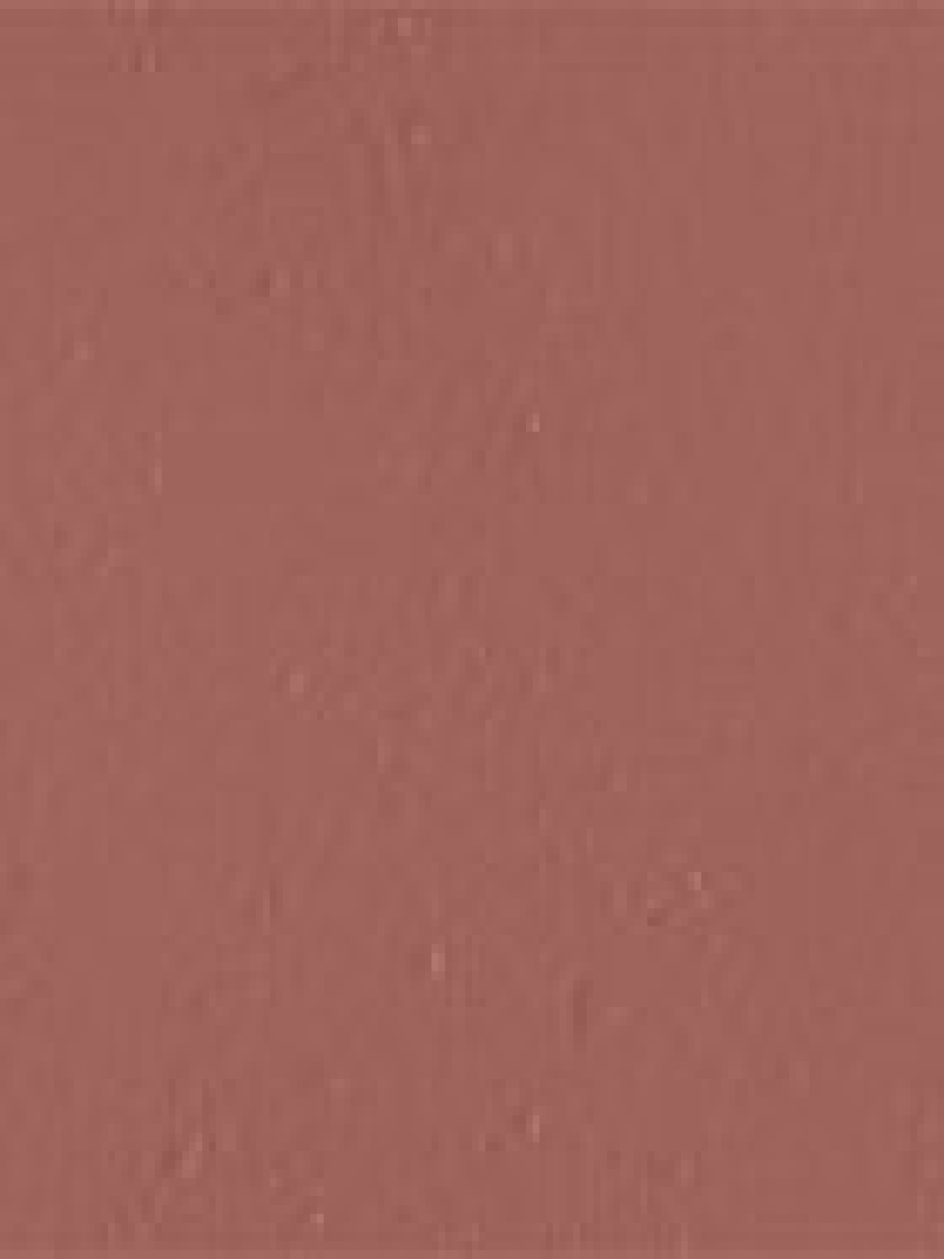 Матова помада Velvet Passion Matte Lipstick KIKO MILANO модель KM130204044328A Фото