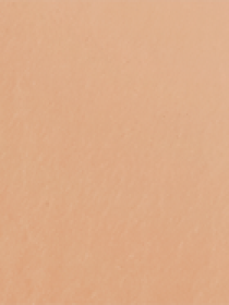 CC крем корректор Skin Trainer CC Blur Perfect Skin Optical Corrector KIKO MILANO модель KS0200107000044 Фото