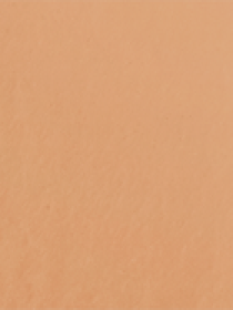 CC крем корректор Skin Trainer CC Blur Perfect Skin Optical Corrector KIKO MILANO модель KS0200107100044 Фото