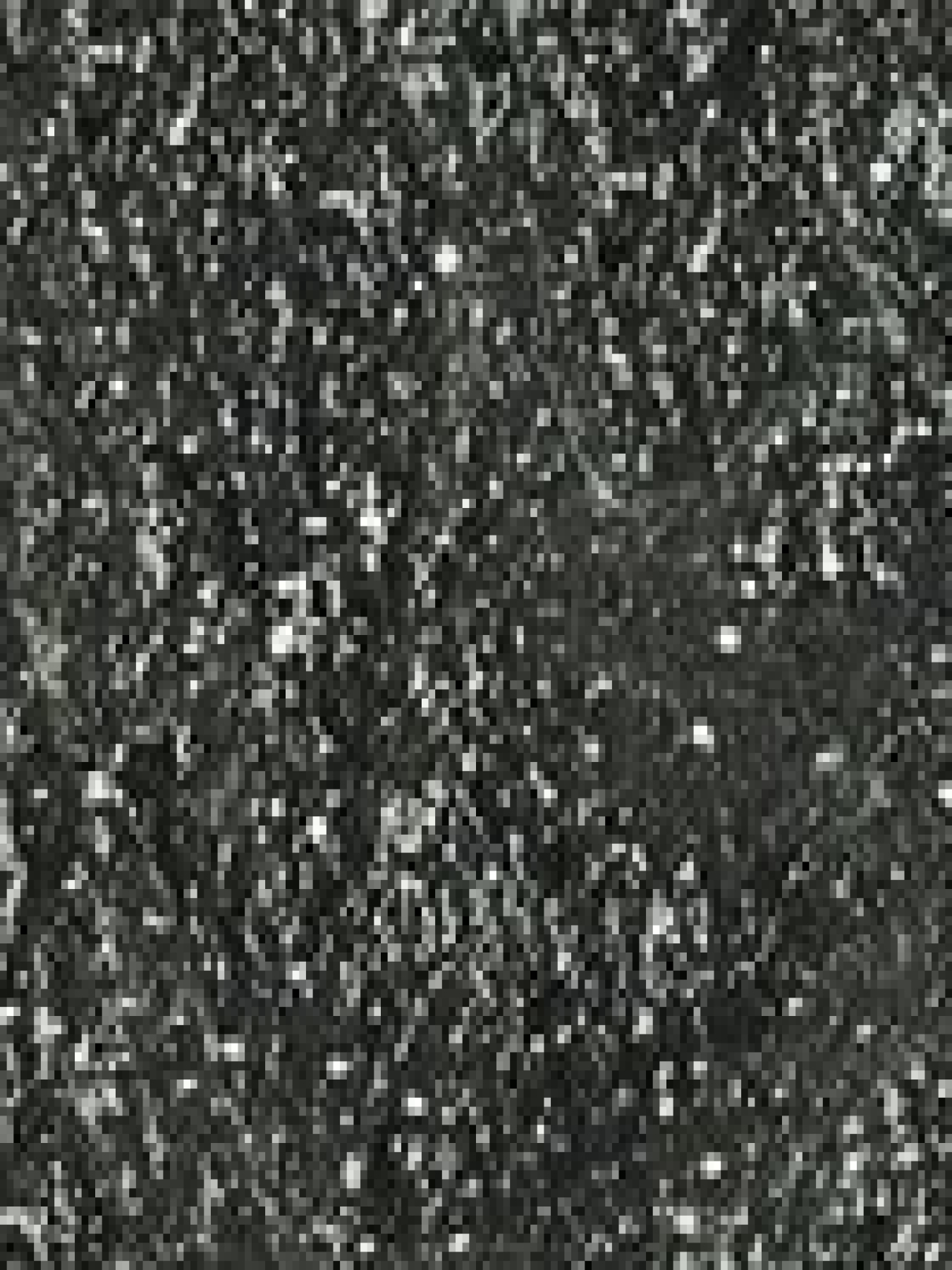 Тени для век KIKO MILANO модель KM000000040048B Фото