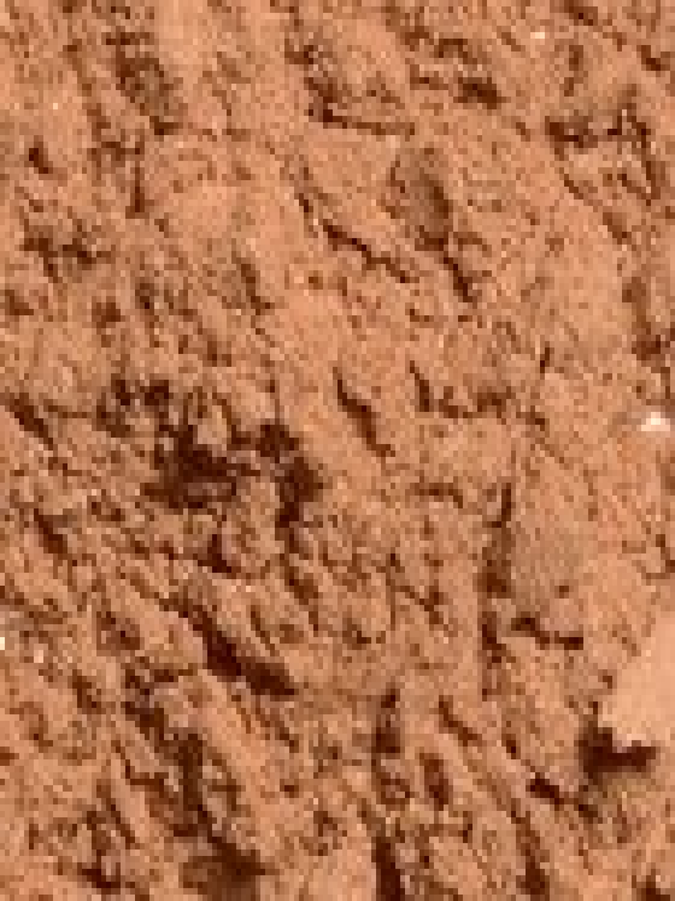 Стойкая матирующая пудра Unlimited Long Lasting Matte Loose Powder KIKO MILANO модель KM000000141005B Фото