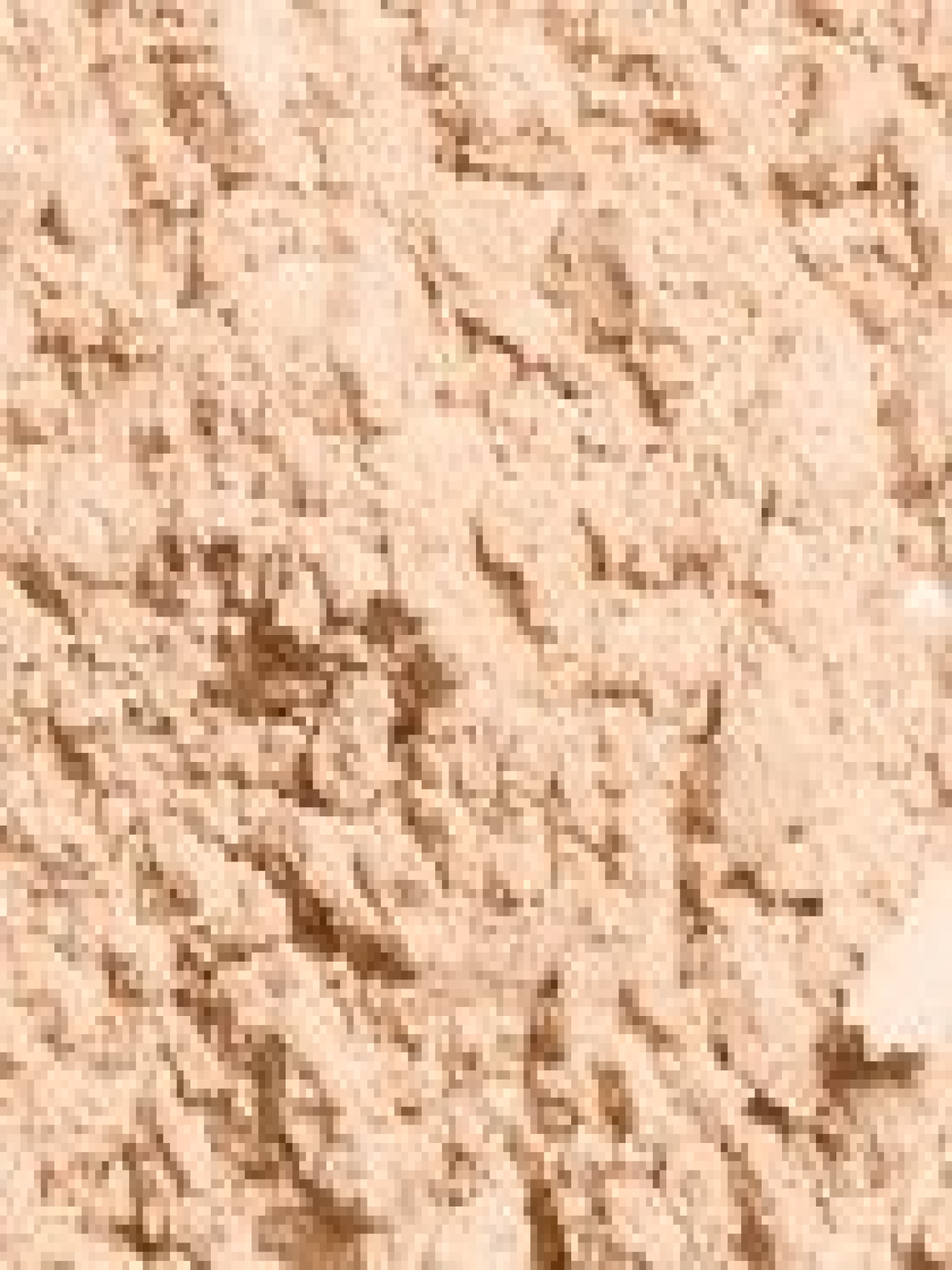 Стойкая матирующая пудра Unlimited Long Lasting Matte Loose Powder KIKO MILANO модель KM000000141006B Фото