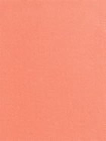 Рум'яна Unlimited Blush KIKO MILANO модель KM000000118008B Фото