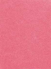 Рум'яна Unlimited Blush KIKO MILANO модель KM000000118009B Фото