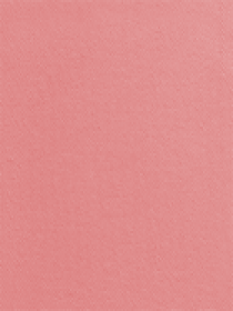 Рум'яна Unlimited Blush KIKO MILANO модель KM000000118010B Фото