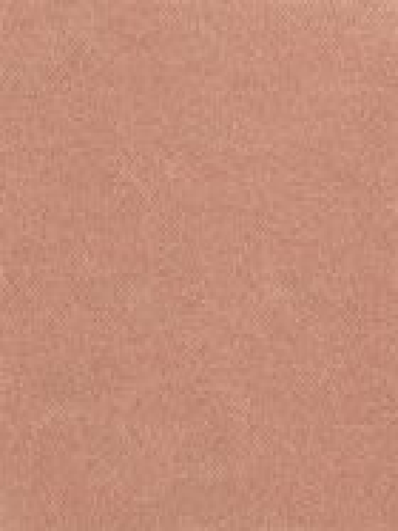 Рум'яна Unlimited Blush KIKO MILANO модель KM000000118012B Фото