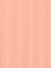 Пресована пудра для обличчя Matte Fusion Pressed Powder KIKO MILANO модель KM000000053007B Фото