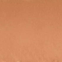 Кремова помада для губ GREEN ME KIKO MILANO модель KM000000150001B Фото