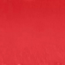 Кремова помада для губ GREEN ME KIKO MILANO модель KM000000150003B Фото