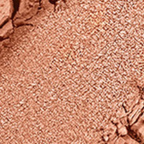 Бронзирующая пудра Radiant Touch Bronzing Powder KIKO MILANO модель KM000000163102B Фото