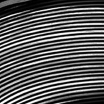 Тушь для экстра объема ресниц Luxurious Lashes Extra Volume Brush Mascara KIKO MILANO модель KM000000069001B Фото