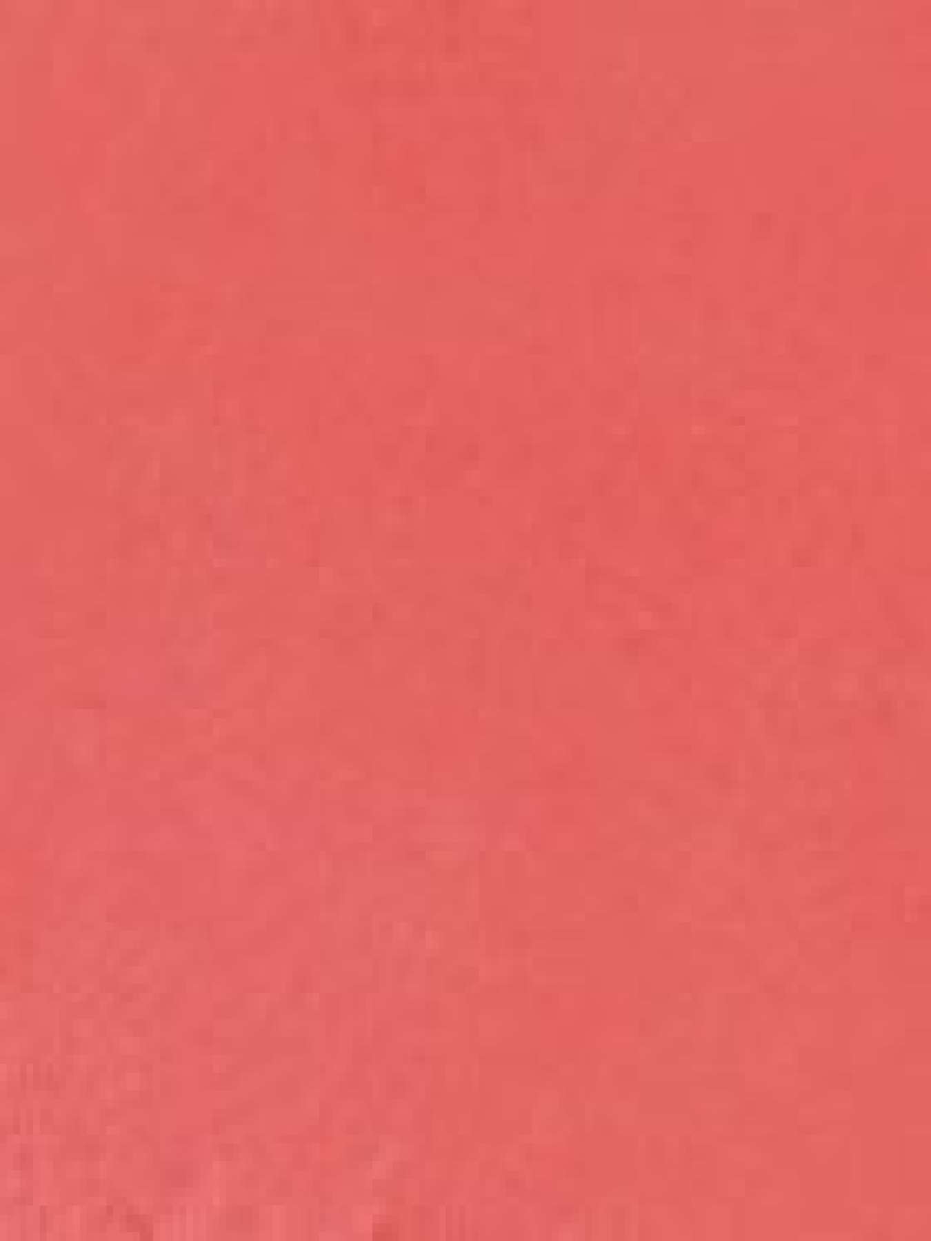 Рум'яна Unlimited Blush KIKO MILANO модель KM000000001002A Фото