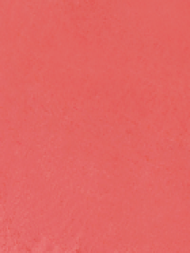 Рум'яна Unlimited Blush KIKO MILANO модель KM000000001002A Фото