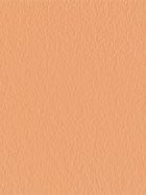 Тональная основа SPF 20 Nourishing Perfection Cream Compact Foundation KIKO MILANO модель KM000000279006B Фото