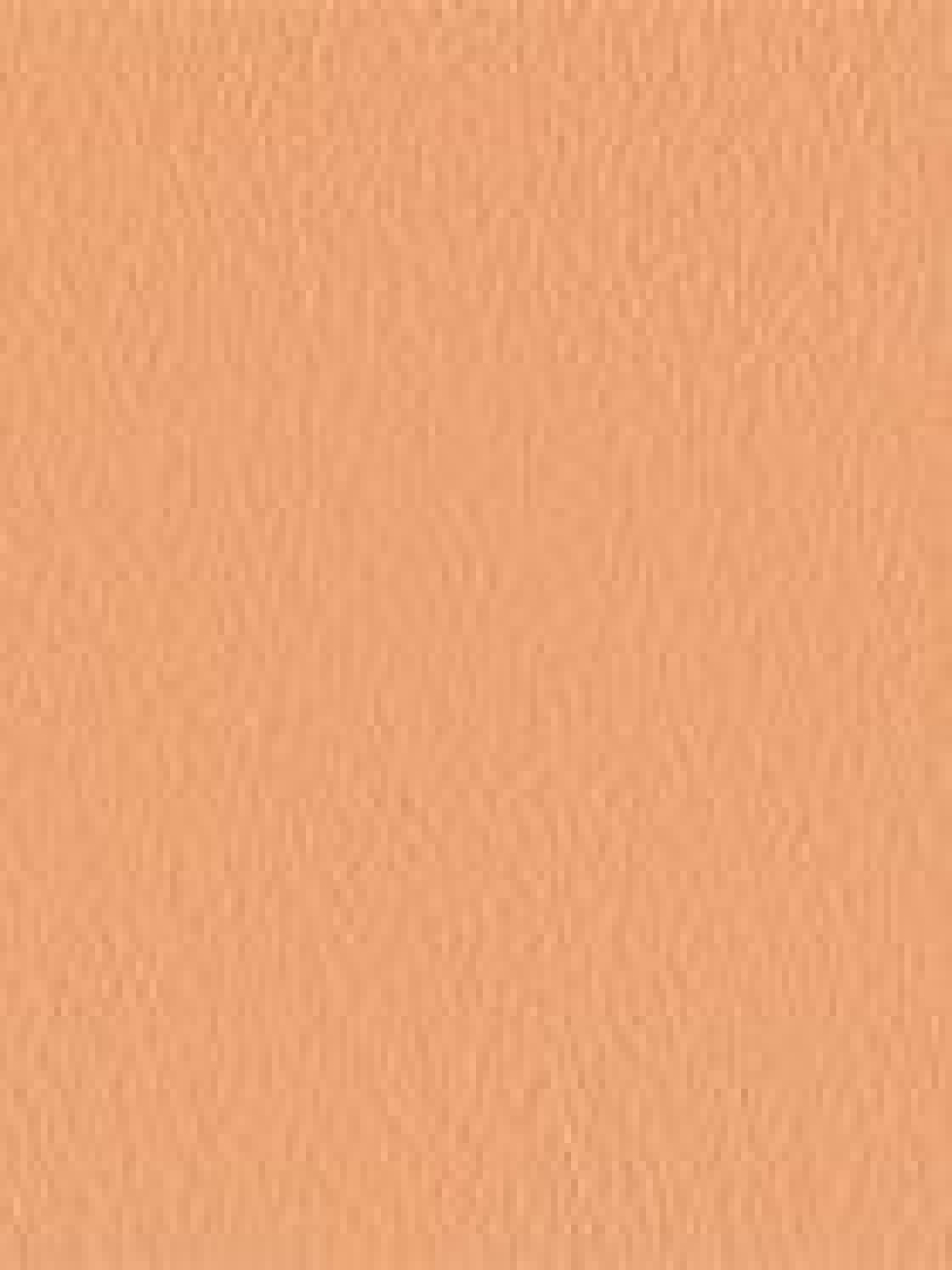 Тональная основа SPF 20 Nourishing Perfection Cream Compact Foundation KIKO MILANO модель KM000000279006B Фото