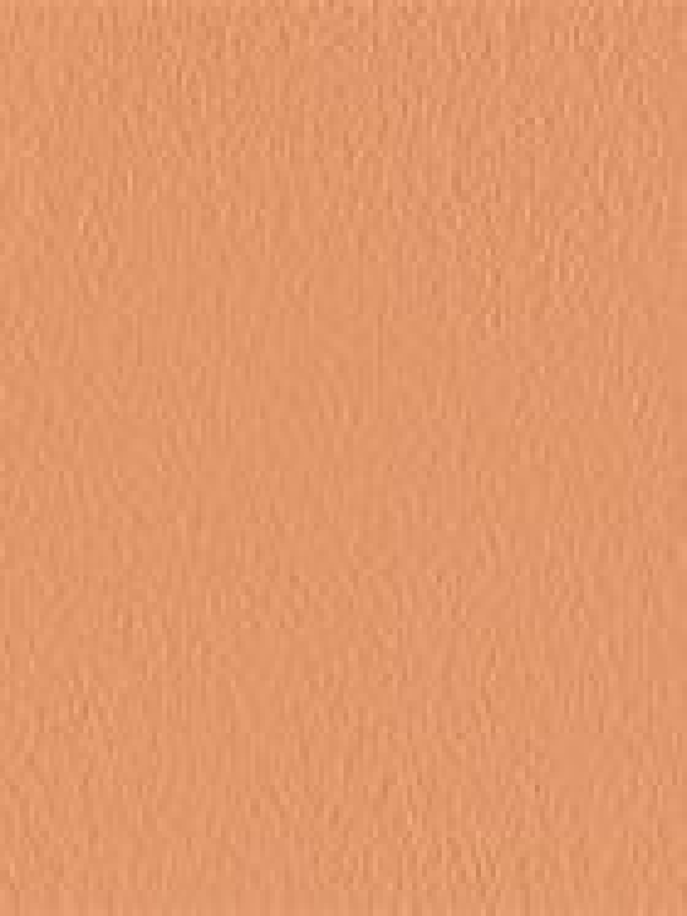 Тональная основа SPF 20 Nourishing Perfection Cream Compact Foundation KIKO MILANO модель KM000000279009B Фото