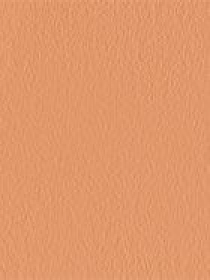 Тональная основа SPF 20 Nourishing Perfection Cream Compact Foundation KIKO MILANO модель KM000000279009B Фото