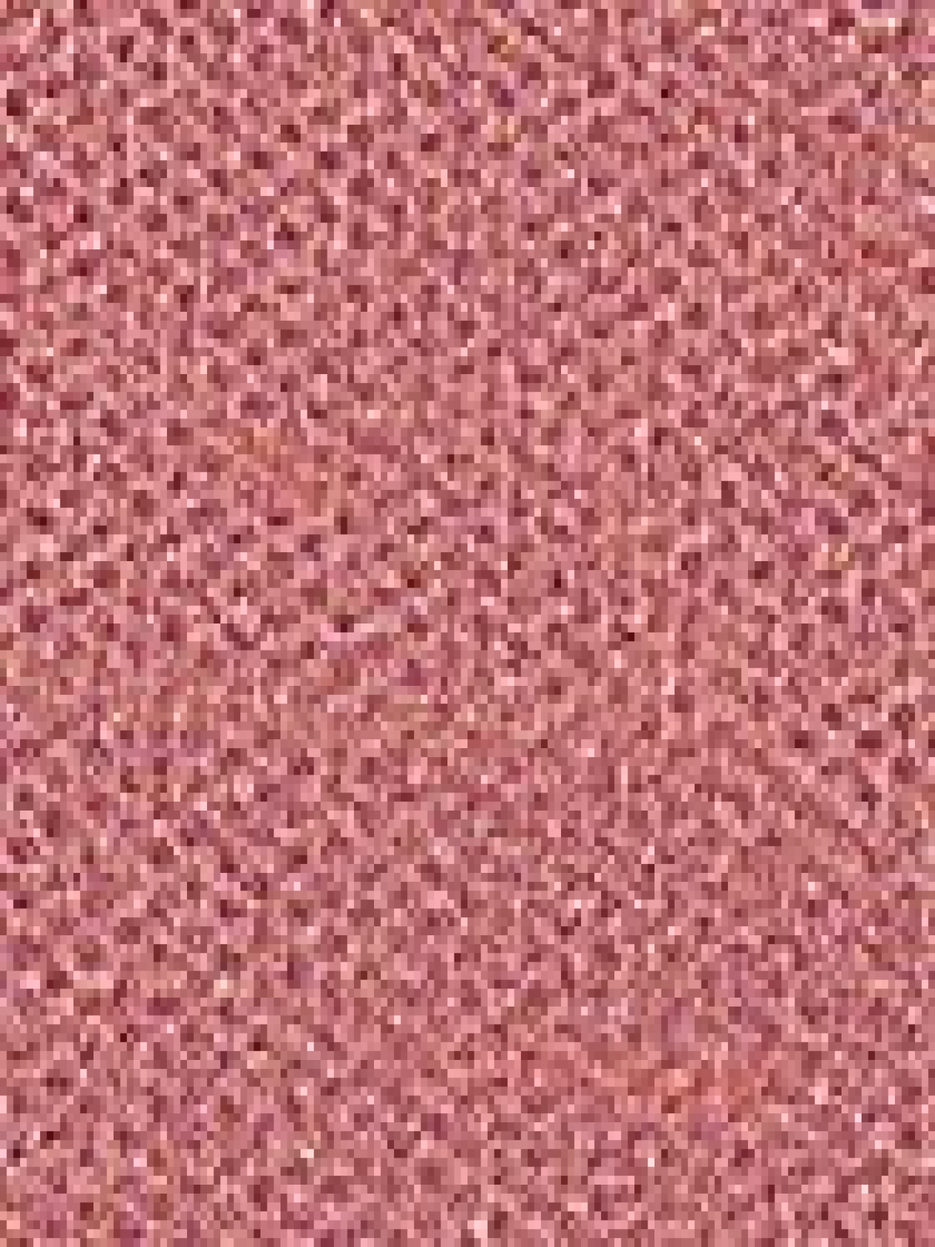 Рум'яна Unlimited Blush KIKO MILANO модель KM000000001004A Фото