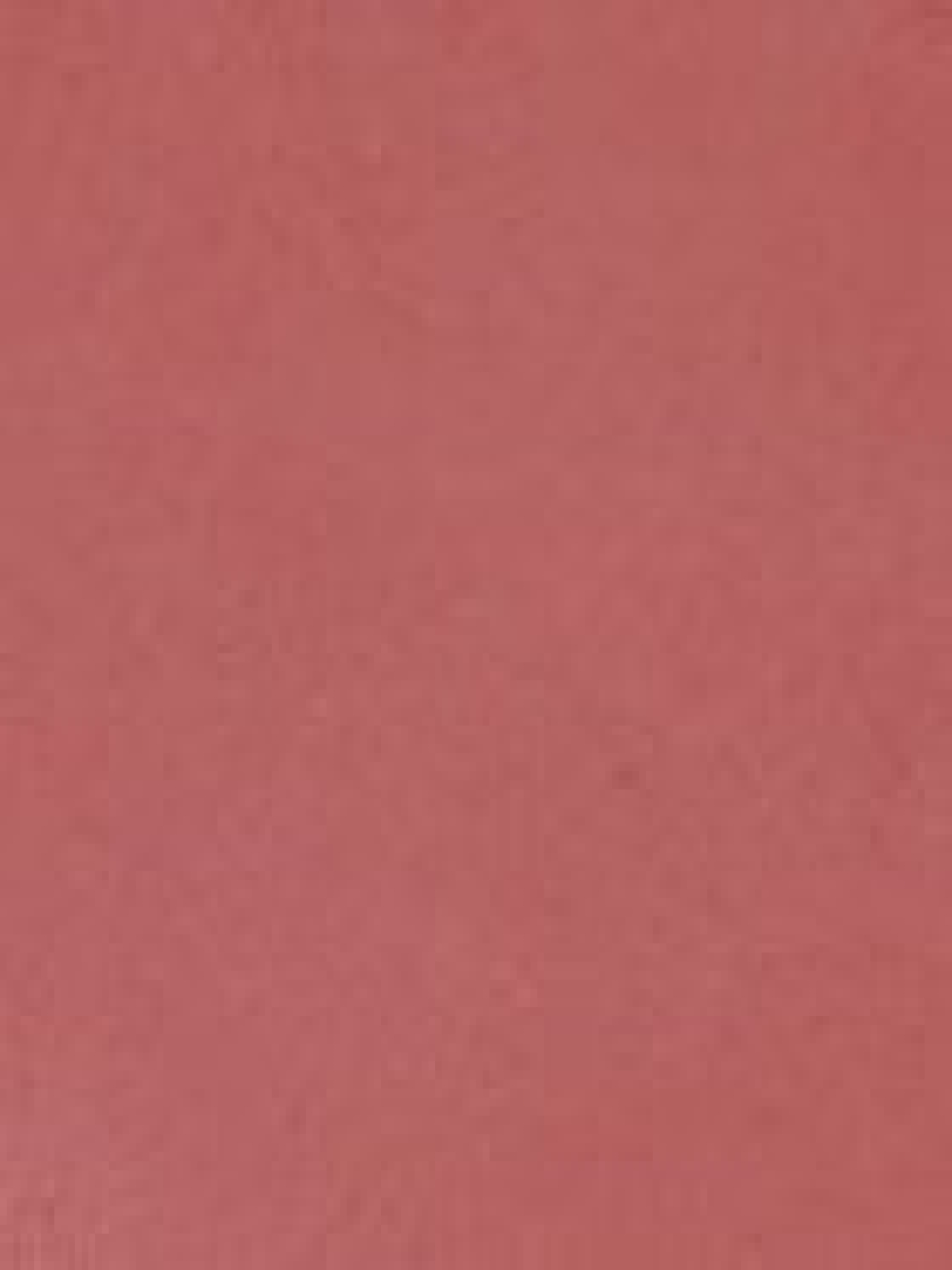 Рум'яна Unlimited Blush KIKO MILANO модель KM000000001006A Фото