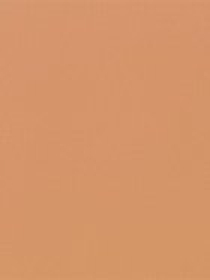 Тональная основа&консилер 2в1 Full Coverage 2-in-1 Foundation & Concealer KIKO MILANO модель KM0010111001244 Фото