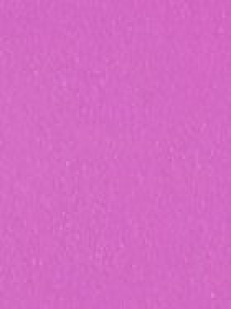 Помада для губ Smart Fusion Lipstick KIKO MILANO модель KM0020103242444 Фото