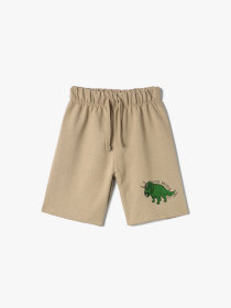 Шорти Koton Модель 4SKB40206TK057 Фото