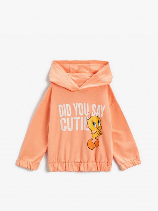 Худи Koton модель 2SMG10050AK274 Фото