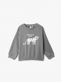 Свитшот Koton модель 3WMB10321TK998 Фото