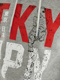 Худи Koton модель 2KAM71512LK027 Фото