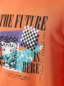 Свитшот Koton модель 2KAM71989LK200 Фото