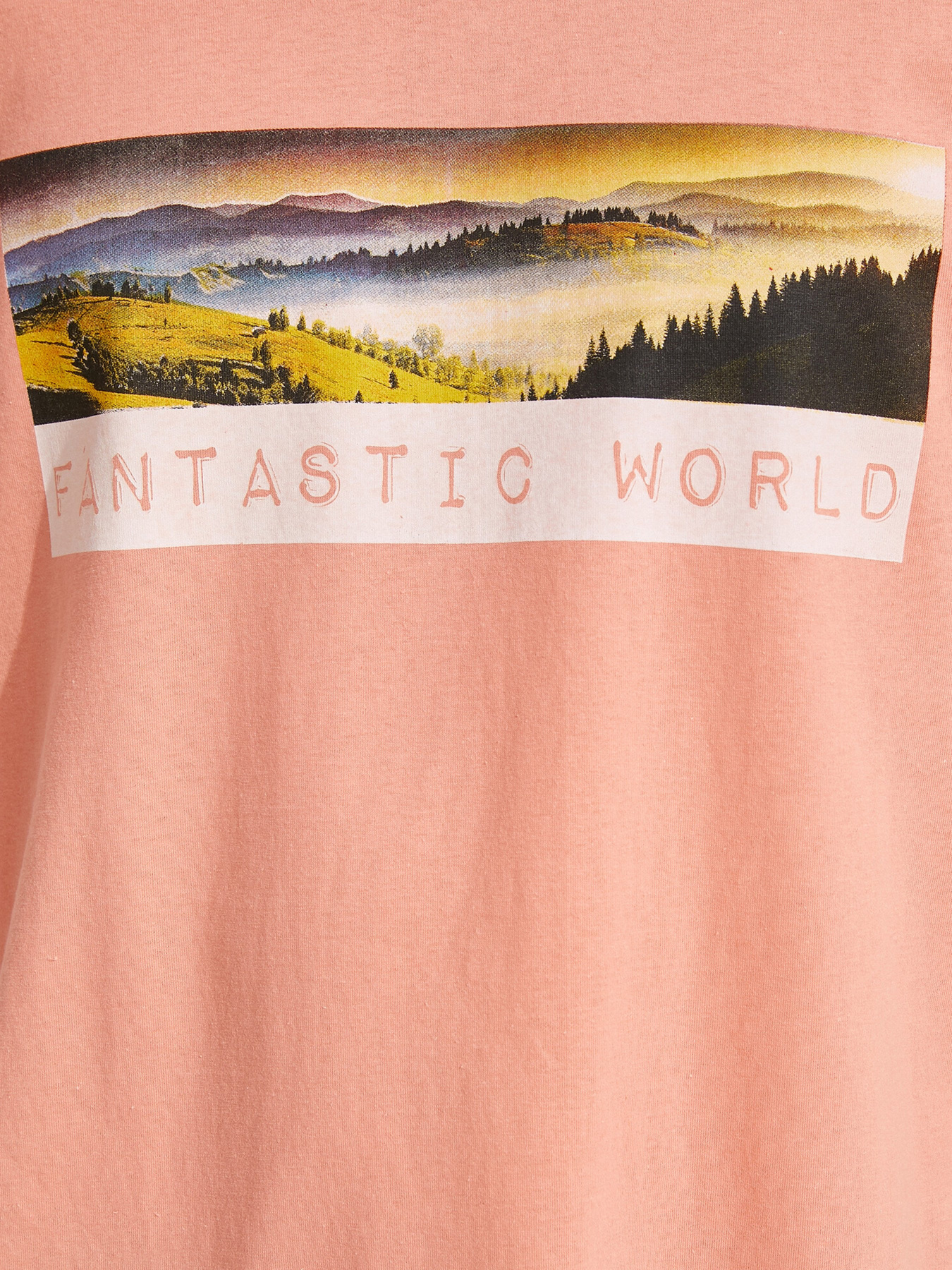 Футболки и поло Koton модель 1YAM11933HK402 Фото