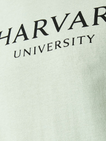 Футболки и поло Koton модель 1YAM11599CK750 Фото