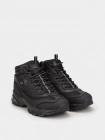 Ботинки Skechers D'LITES 1.0 модель 167265 BBK Фото