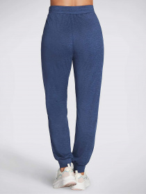 Штаны спортивные Skechers GO Dri Swift модель WPT254 NVY Фото