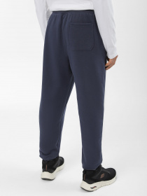 Спортивні штани Skechers Sweats Essential модель PT16 CCNV Фото