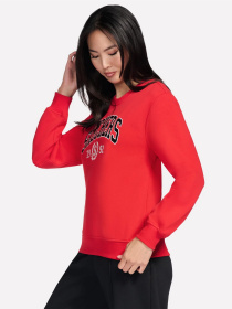 Свитшот Skechers модель LT226 GURD Фото