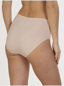 Набор трусов Lama модель 400MD-06 Жіночі трусики-skin Фото