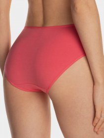 Набор трусов Lama модель 122BI-29 Жіночі трусики-mix принт Фото