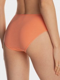 Набор трусов Lama модель 122BI-29 Жіночі трусики-mix принт Фото