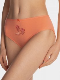 Набір трусів Lama модель 122BI-29 Жіночі трусики-mix принт Фото