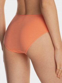 Набор трусов Lama модель 122BI-29EX Жіночі трусики-mix принт Фото