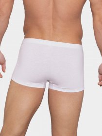 Трусы Lama модель 4000SZ-01 Чоловічі шорти-white Фото