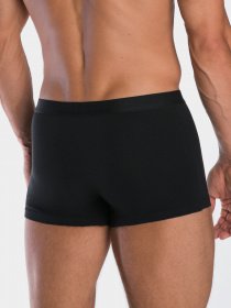 Трусы Lama модель 4001SZG-02 Чоловічі шорти-black Фото