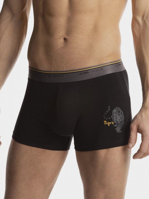 Трусы Lama модель 936SZG Чоловічі шорти-mix принт Фото