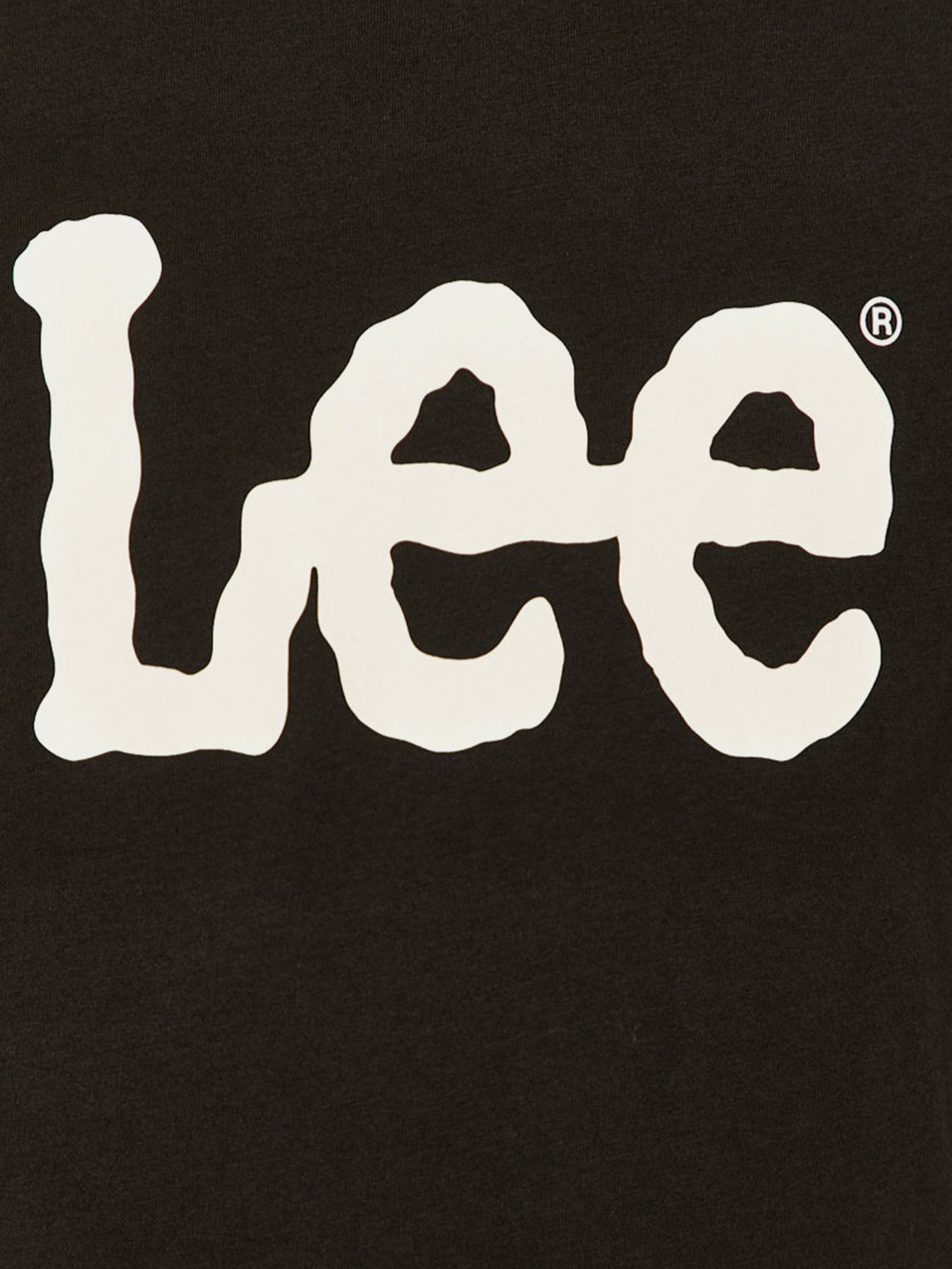 Футболка Lee Woobly модель L65QAI01 Фото