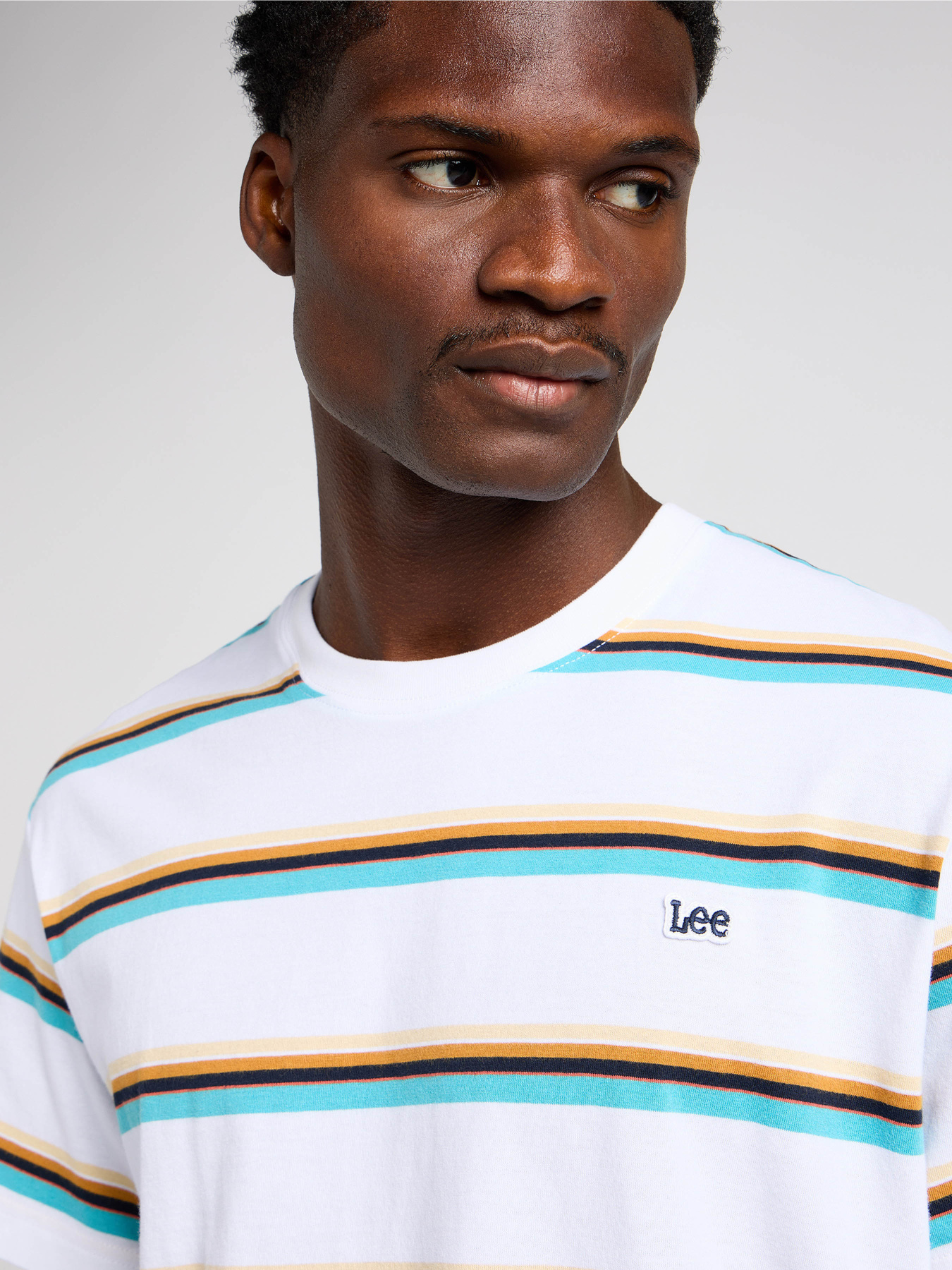 Футболка Lee Relaxed Stripe модель 112350099 Фото