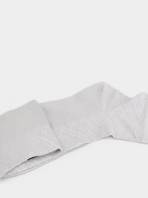 Носки Легка Хода модель 6392 срібло Фото