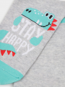 Носки Легка Хода модель 9316 срібло меланж Фото