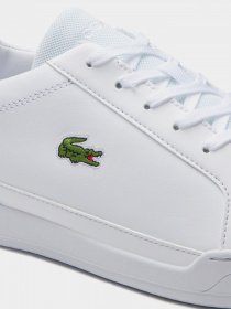 Кеды низкие Lacoste модель 740SMA008021G Фото