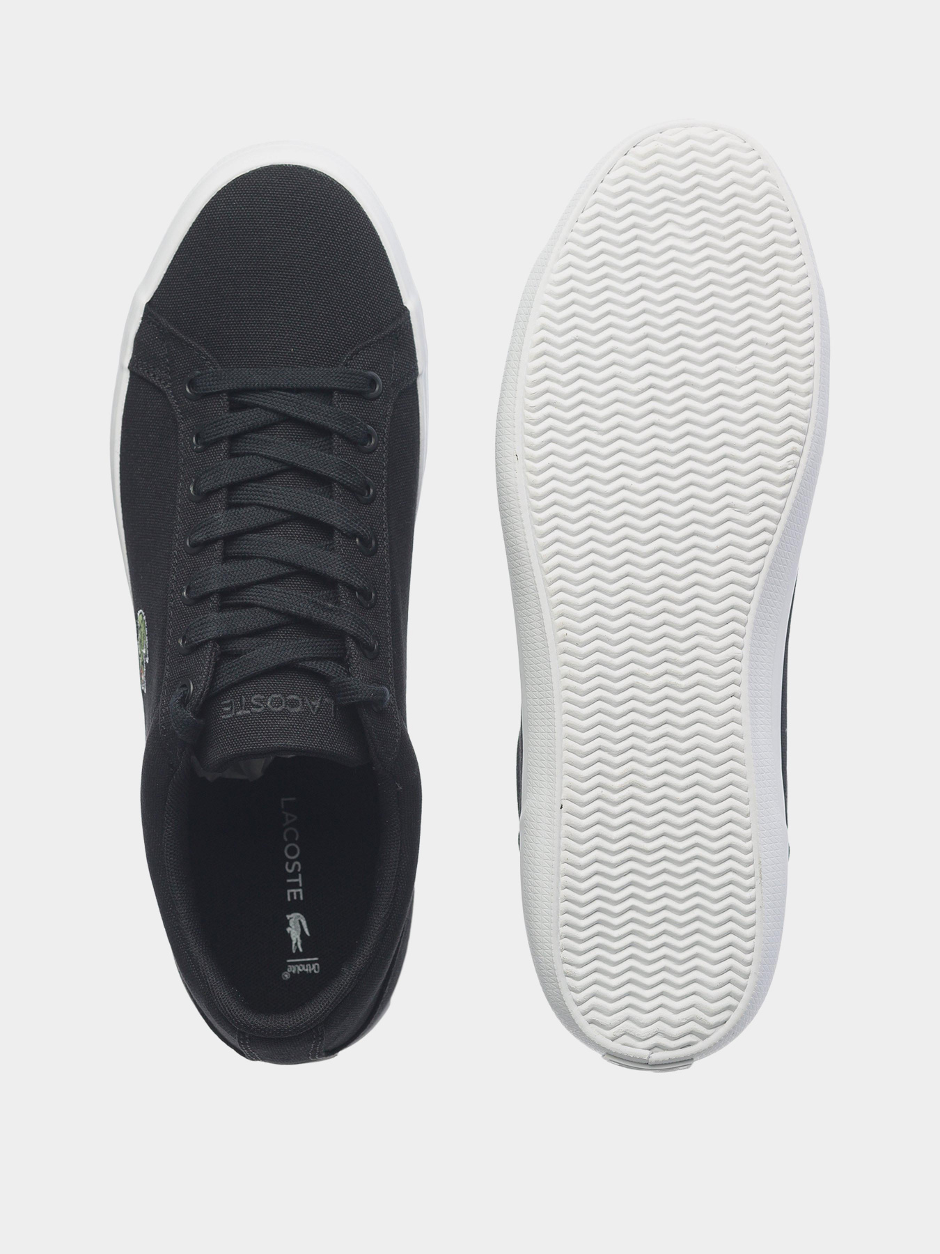 Кеды низкие Lacoste Lerond модель 733CAM1033024 Фото